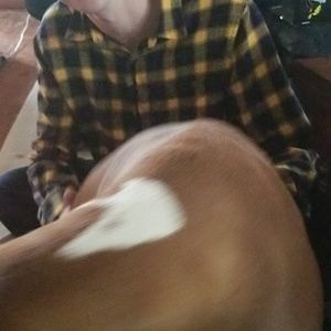 Meet your Posher, Jean